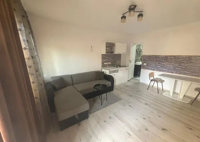 Guest house Stenz Brasov